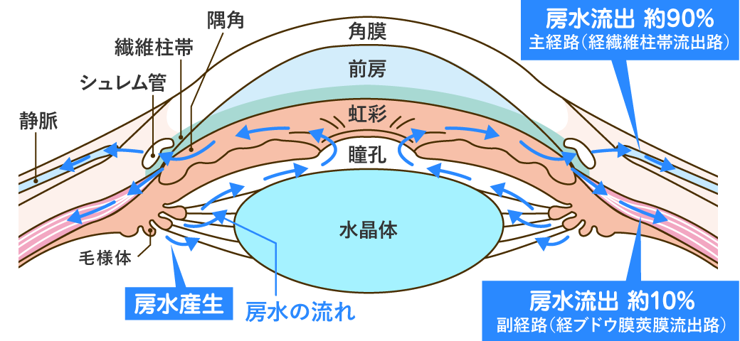 緑内障の原因
